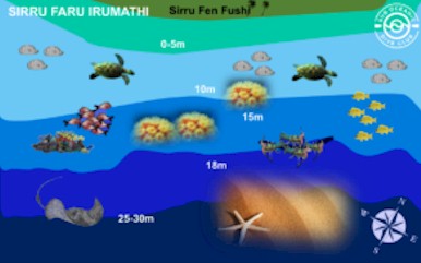 Sirru Faru Irumathi
